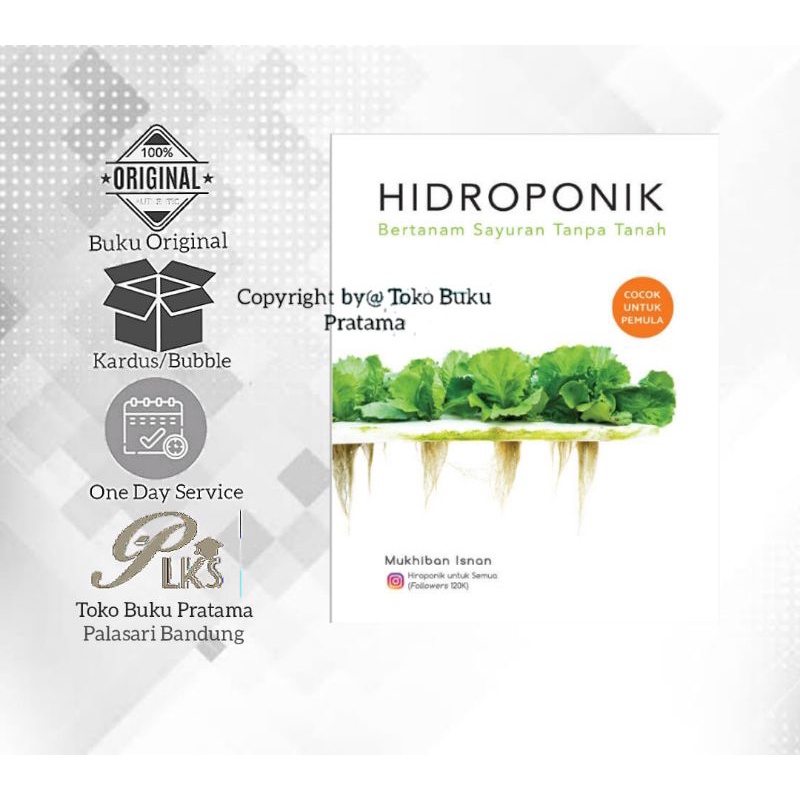 Hidroponik Bertanam Sayuran Tanpa Tanah
