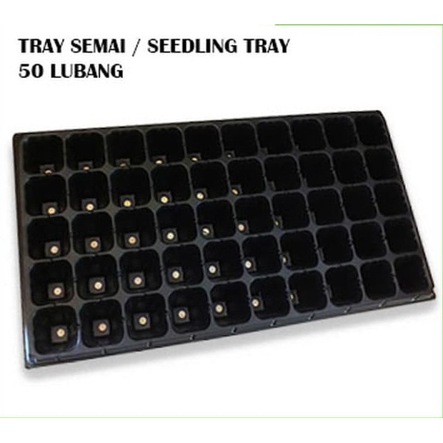 Tray Semai / Bibit 50 Lubang Untuk Benih Tanaman (Bentuk Kotak Besar)