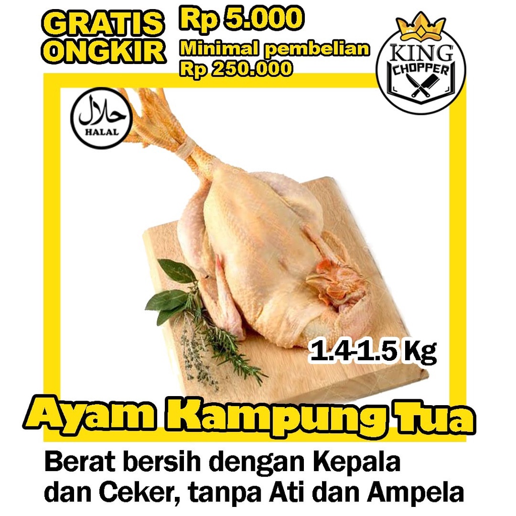 

AYAM KAMPUNG TUA FROZEN DAGING BEKU KARKAS BROILER BESAR UTUH FRESH PEJANTAN BEBEK POTONG MURAH