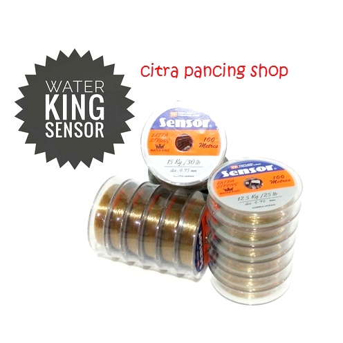 Senar Pancing - Senar Sensor Water King 100M Extra Strong
