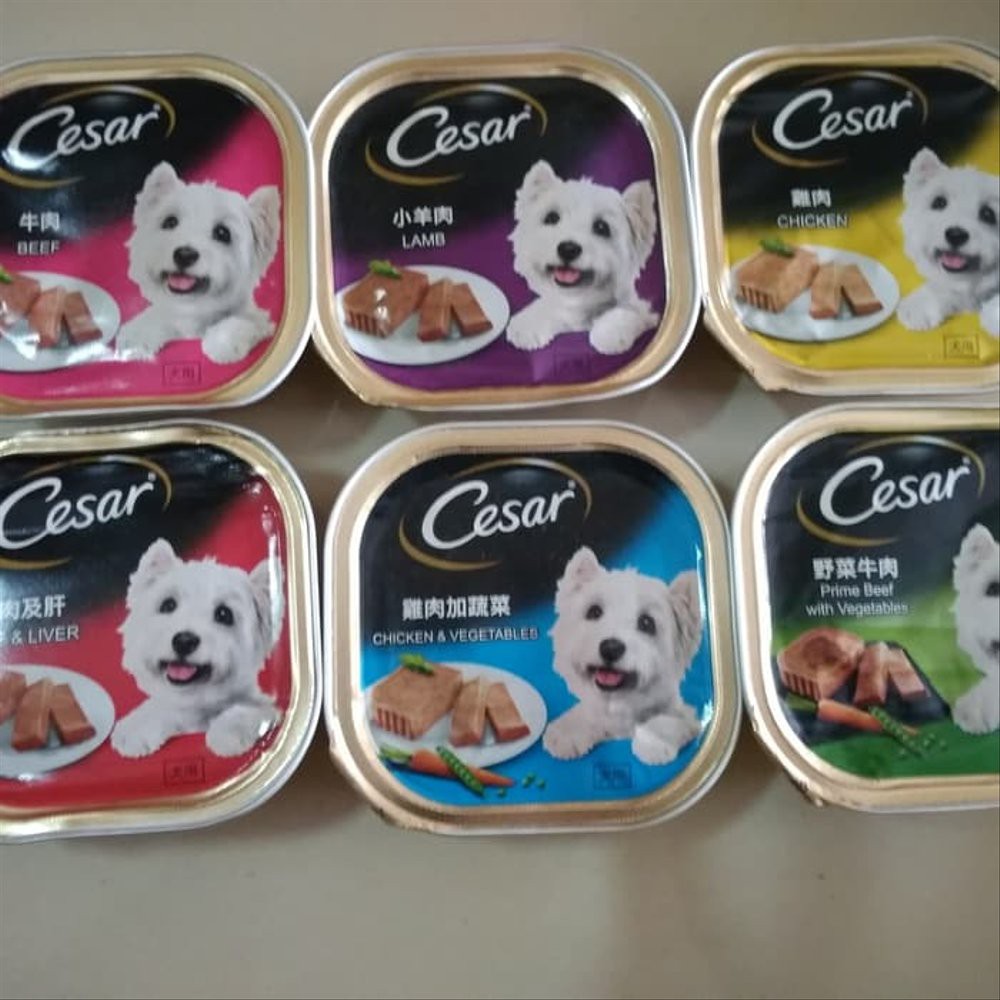 Jual Dog Food Makanan Basah Anjing Cesar Beef With Vegetables