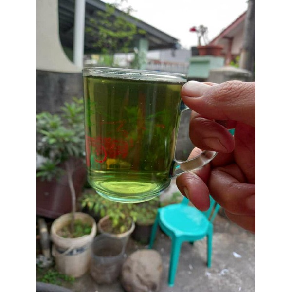 

umi green coffe