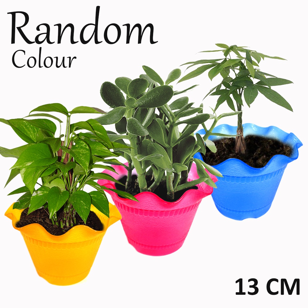 FM - 6 pcs Mercury Pot Bunga Cantik Plastik 13cm - Random Colour / pot bunga mini / isi 6pcs/pot plastik