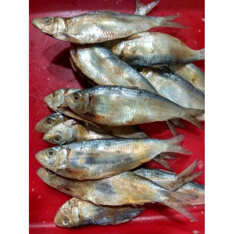 

Ikan asin tembang 100gr