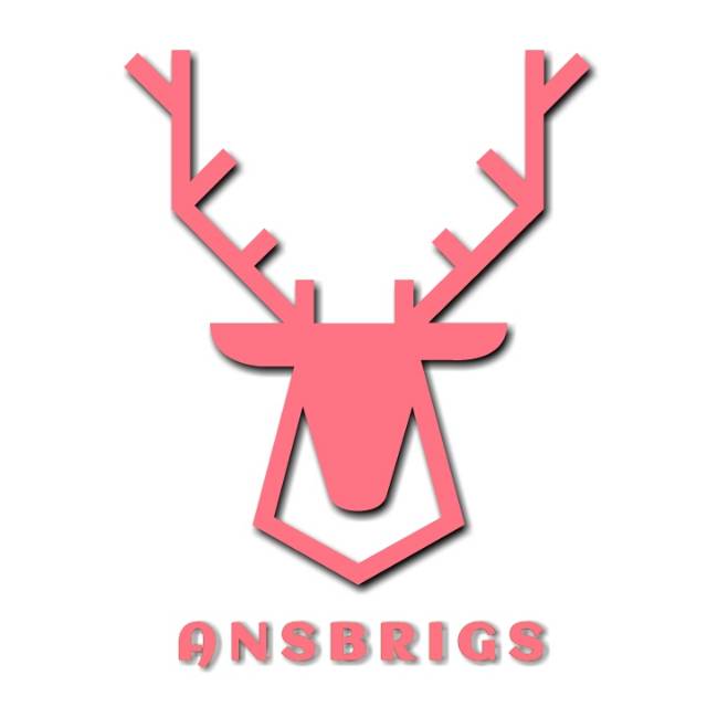 ansbrigs