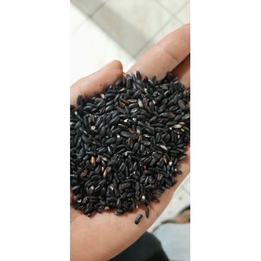 

Beras Ketan Hitam Packing 1kg Cianjur