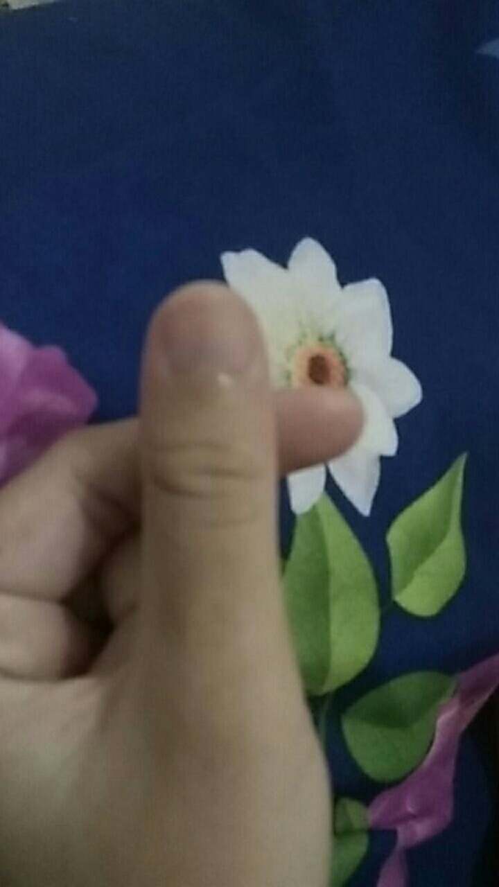 Tey-17 Batik Wanita Asj Sa Hrb026 Kenongo Kemeja Tosca Pendek