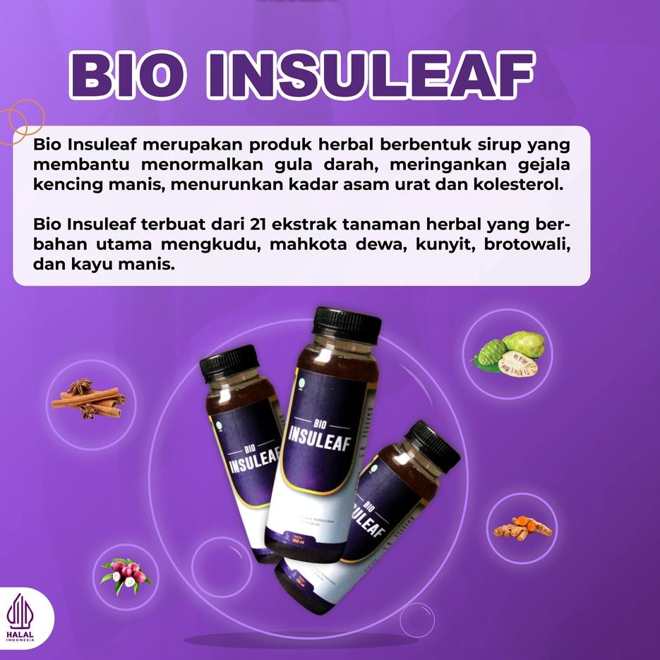 

[KODE PRODUK YIJTZ4478] BIO INSULEAF OBAT HERBAL ALAMI KHUSUS DIABETES DAN KENCING MANIS - ORIGINAL 100%
