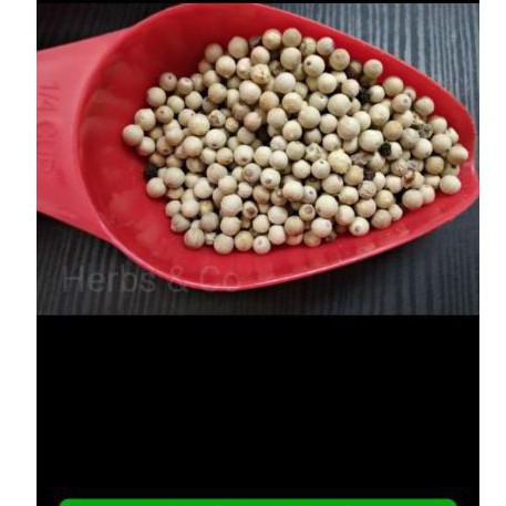 

Biji lada putih/ white pepper seeds 50 gr