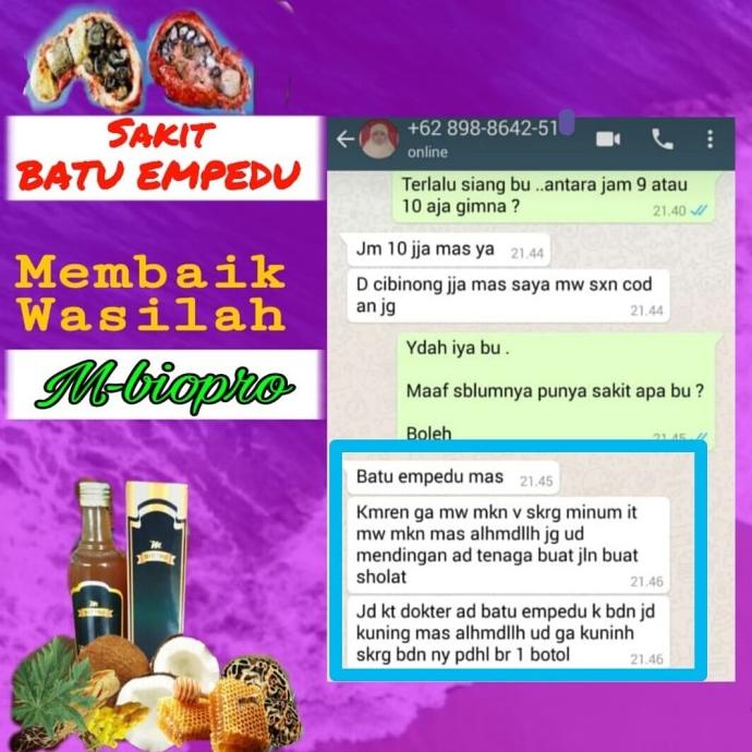 LARIS | M bio pro | M-bioPro | obat batu empedu | herbal batu empedu