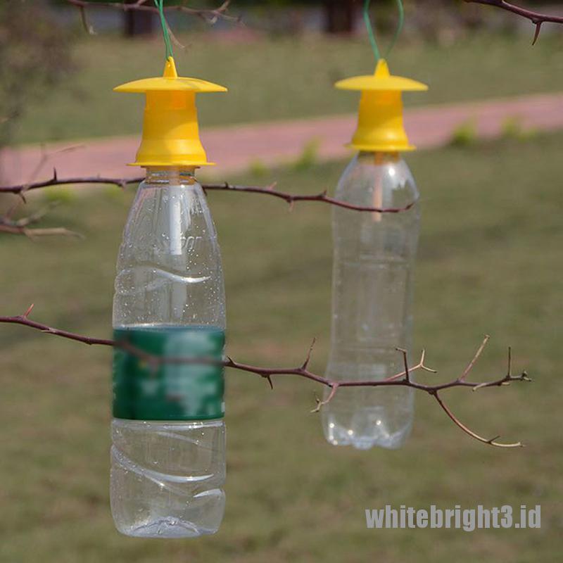 ❤White3 Warna Putih❤ 5pcs Alat Perangkap Lalat / Serangga