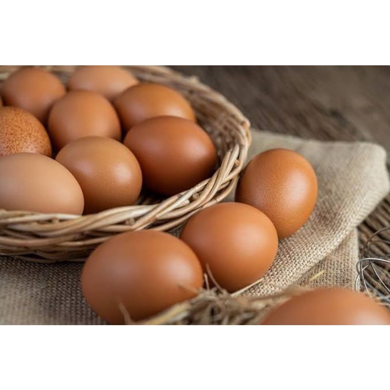 

Telur Fresh Kiloan