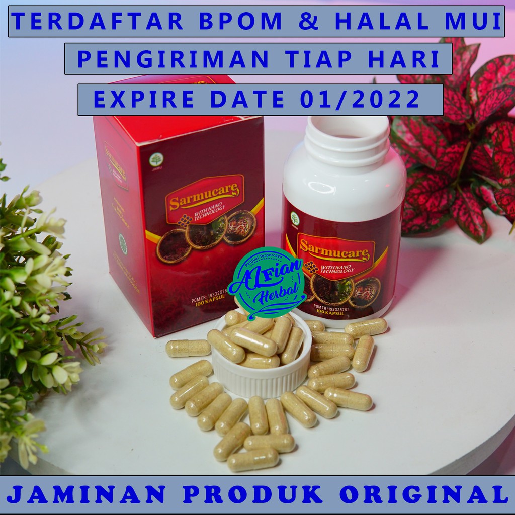 Obat Herbal Jantung Bengkak Obat Kardiomegali Pembengkakan Jantung Shopee Indonesia