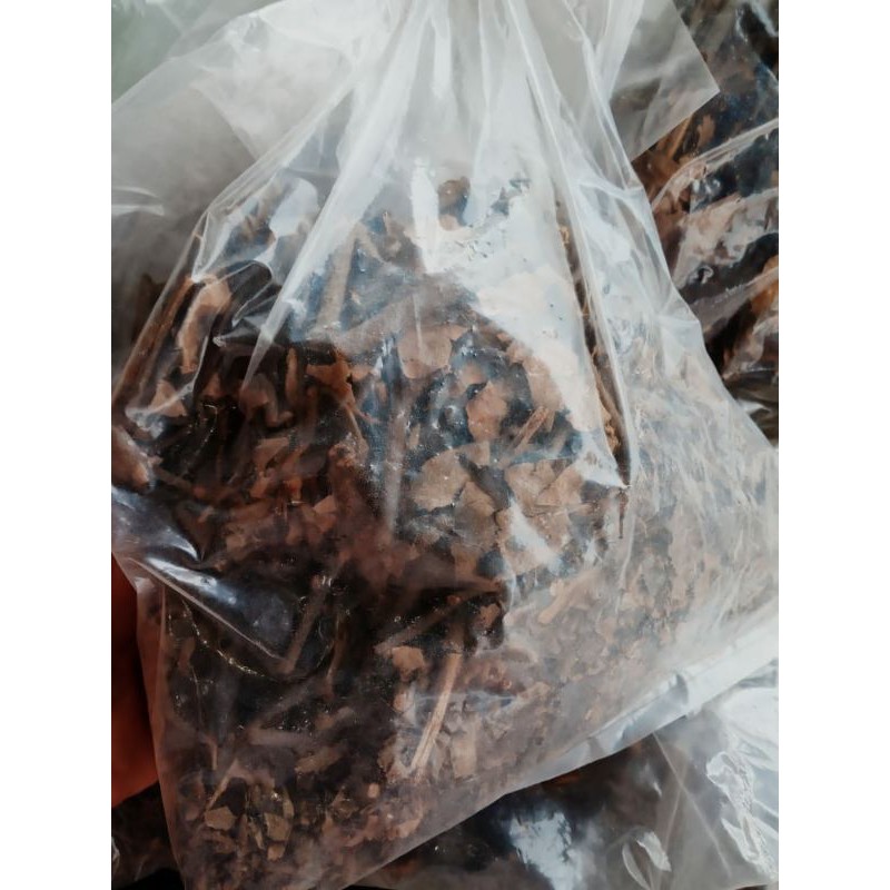 

Benalu Kopi