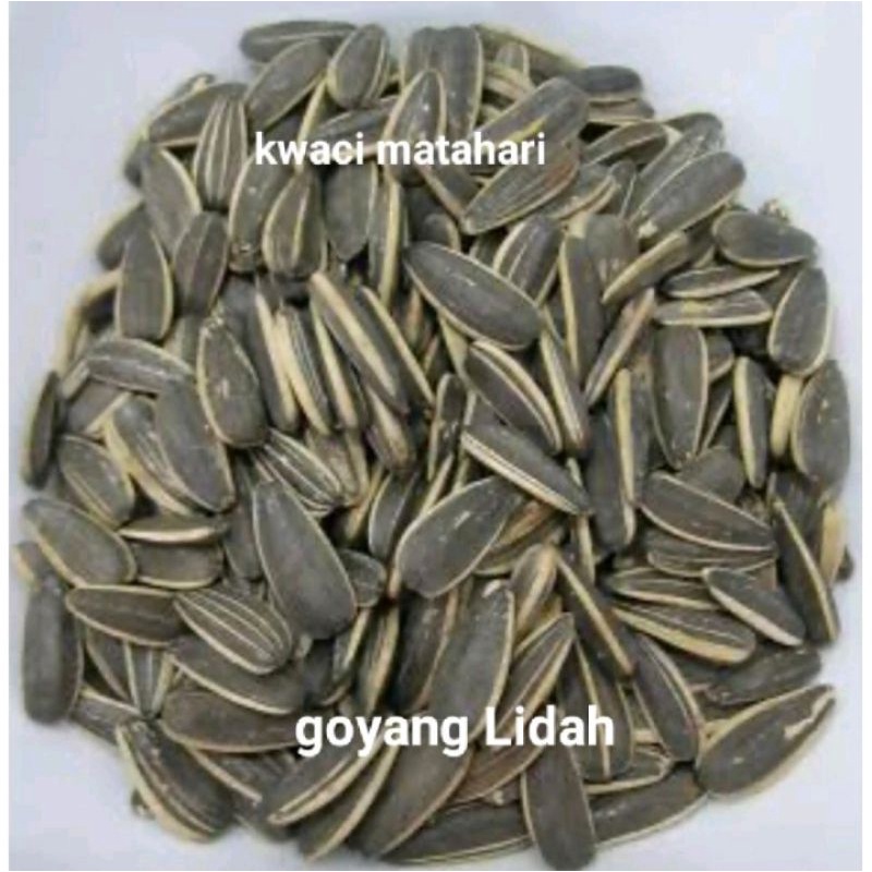 

kwaci biji bunga matahari super 500gr