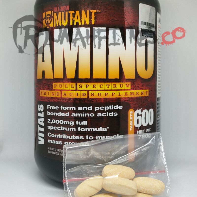 Suplemen BCAA Amino Protein Eceran