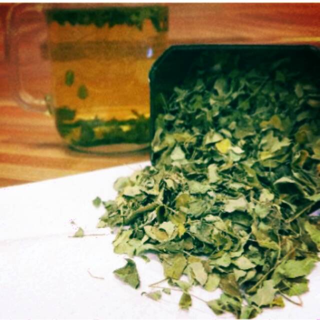 

Daun kelorbyputrimask (mgobatikanker,menurunkan kadar gula, antioksidan,menurnkankolstrol,anti aging
