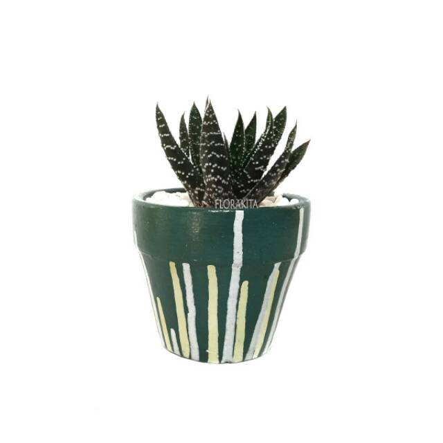 Pot Tanah Liat/Clay Pot Spada