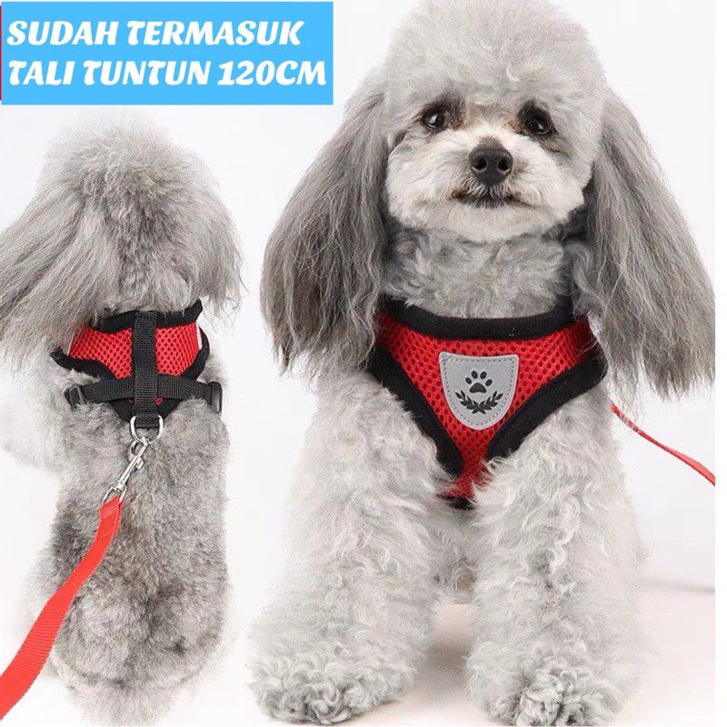 ROMPI HARNESS + TALI TUNTUN CAT DOG LEASH