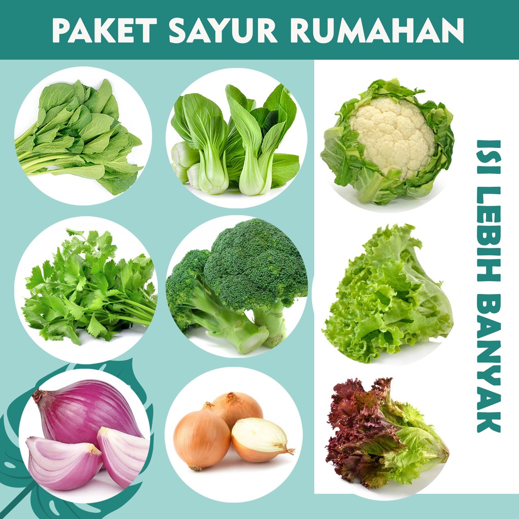 

PAKET SAYUR RUMAHAN ISI LEBIH BANYAK 9 SAYUR RUMAHAN BROKOLI KEMBANG KOL SAWI CAISIM PAKCOY SELADA MERAH HIJAU BAWANG BOMBAI BAWANG MERAH