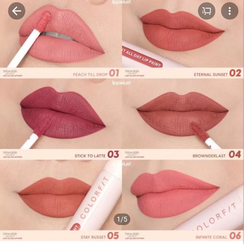 Wardah Colorfit Last All Day Lip Paint