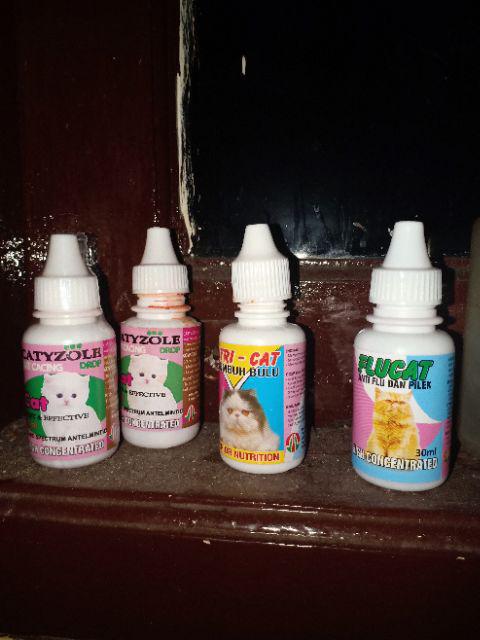 Obat Ginjal Untuk Kucing