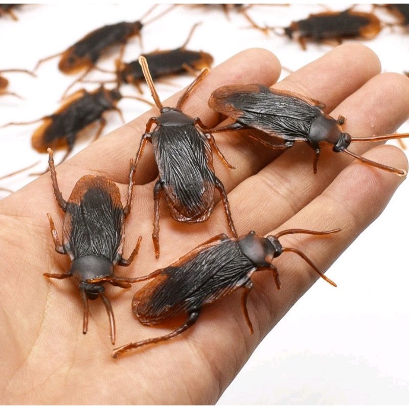 MAINAN KECOA - Kecoa Palsu Kecoak Plastik Mainan Usil Jahil Mirip Asli Prank Toy Fake Roach Cockroach