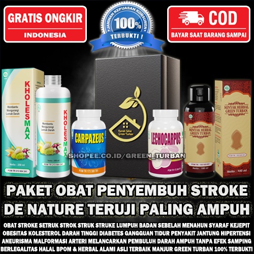 HARGA PAKET PENYEMBUH ASLI OBAT STROKE GREEN TURBAN 100% ORIGINAL PT HERBAL LUMPUH RINGAN BERAT PALI