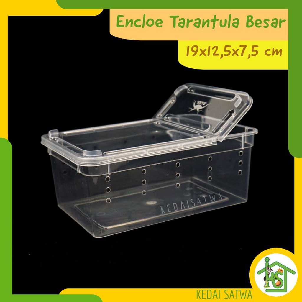Kotak Reptil Enclo Reptile Tarantula Vivarium gecko Feeding Box Kandang Reptil Kura-Kura Kedai Satwa