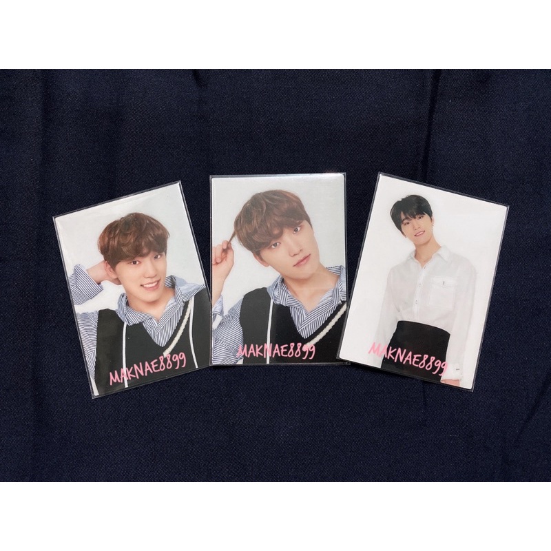 Seventeen Cafe Photocard Dino