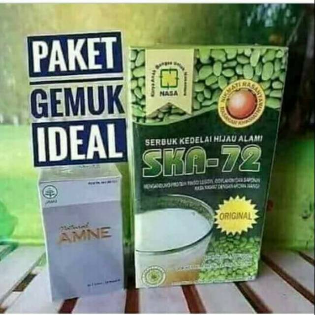 

Paket penggemuk badan sehat