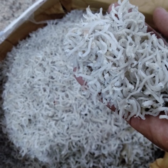 

Ikan Teri Medan (Nasi) 500 gram