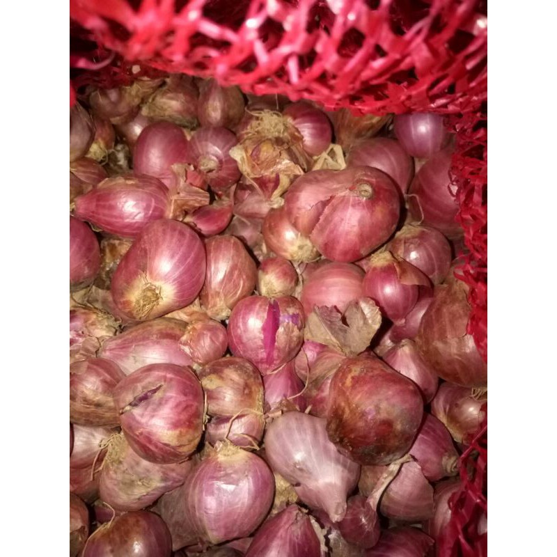 

bawang merah