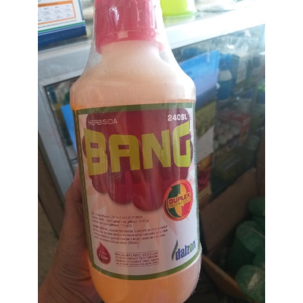 BANG 240SL herbisida sistemik