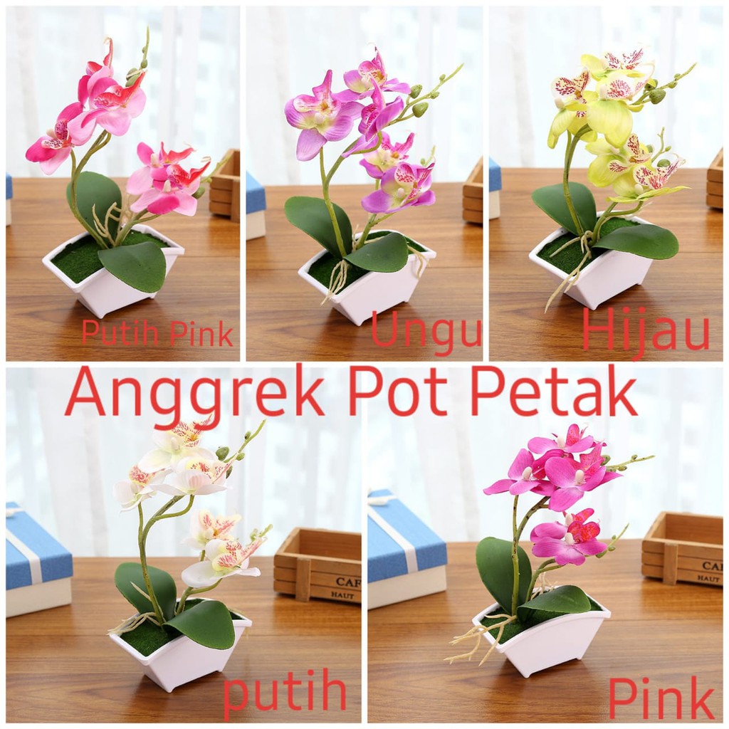 Pajangan Anggrek pot petak 1kilo bisa muat 8pcs Tanaman Pajangan Anggrek pot petak 1kilo bisa muat 8pcs Tanaman