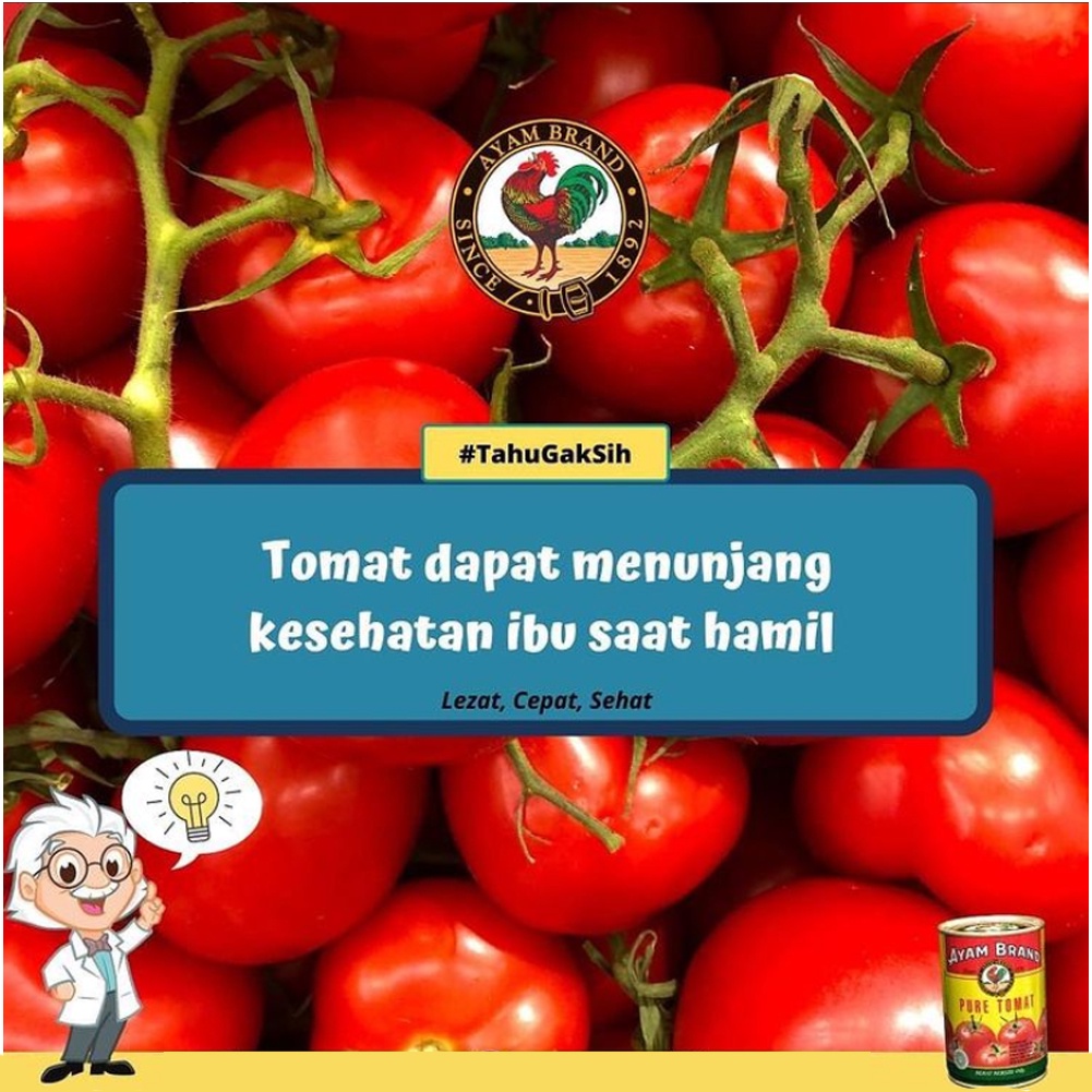 AYAM BRAND TOMATO PUREE 430 GR PASTA TOMAT KALENG HALAL NO MSG TANPA PENGAWET