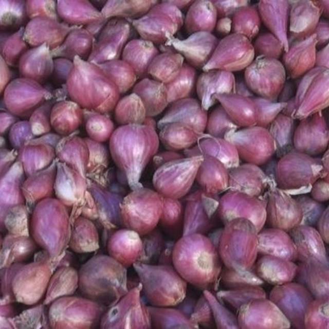 

Bawang merah brebes super 1kg, 500gram, 250gram