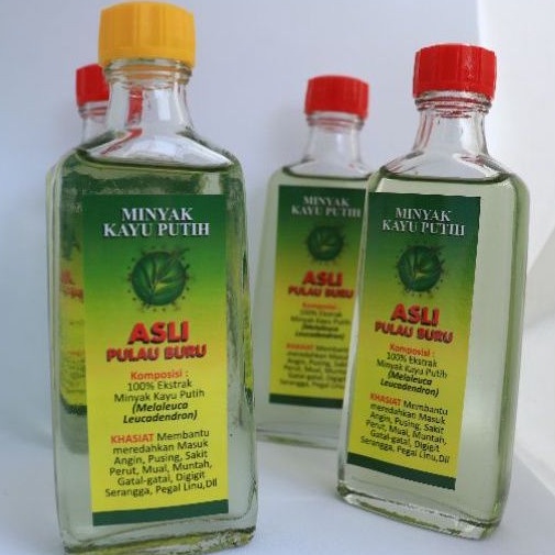 Minyak Kayu Putih Asli Pulau Buru