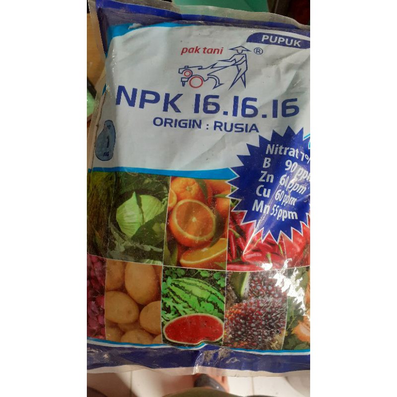 pupuk npk 16 16 16 origin rusia