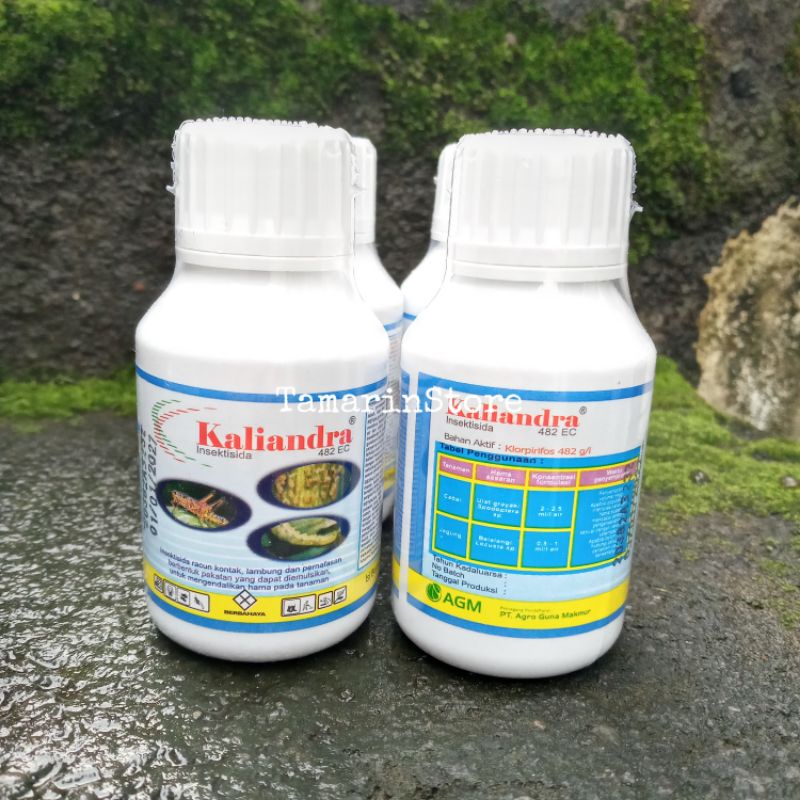 Insektisida Kaliandra 482 EC Pembasmi Serangga 80 Ml