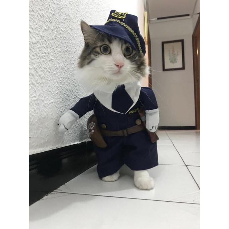 Kostum Anjing Baju Kucing Lucu Dokter Gitar Polisi Superman Import