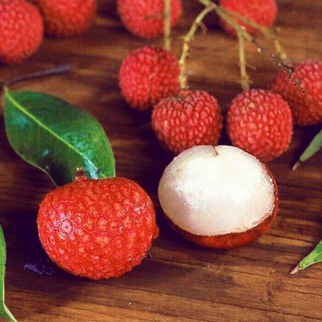 bibit buah leci merah