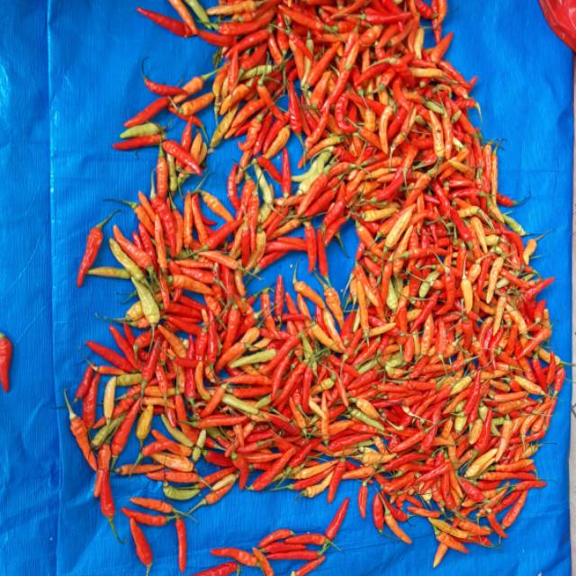 

Cabe rawit merah 500gr