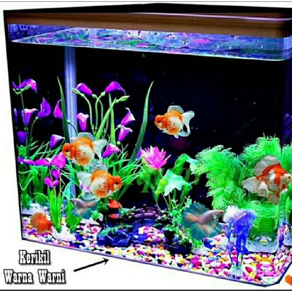 PROMO ISI 1KG Batu Warna Warni Hiasan aquarium / Batu Warna hiasan pot tanaman / Batu taiwan ISI 1 KG