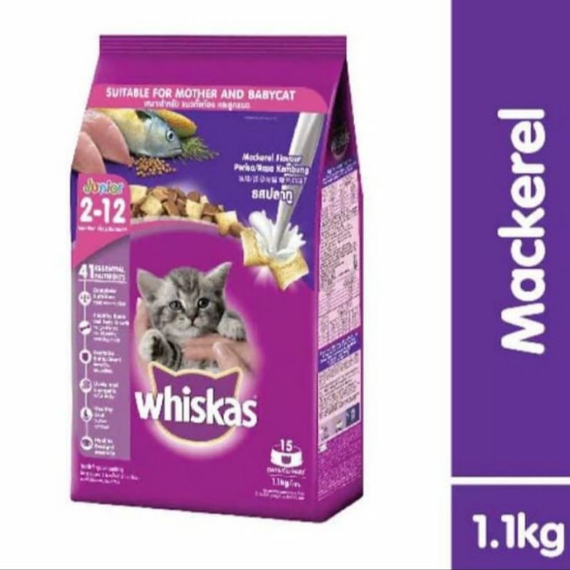 Whiskas Junior Mackarel 1.1kg Makanan Kucing freshpack