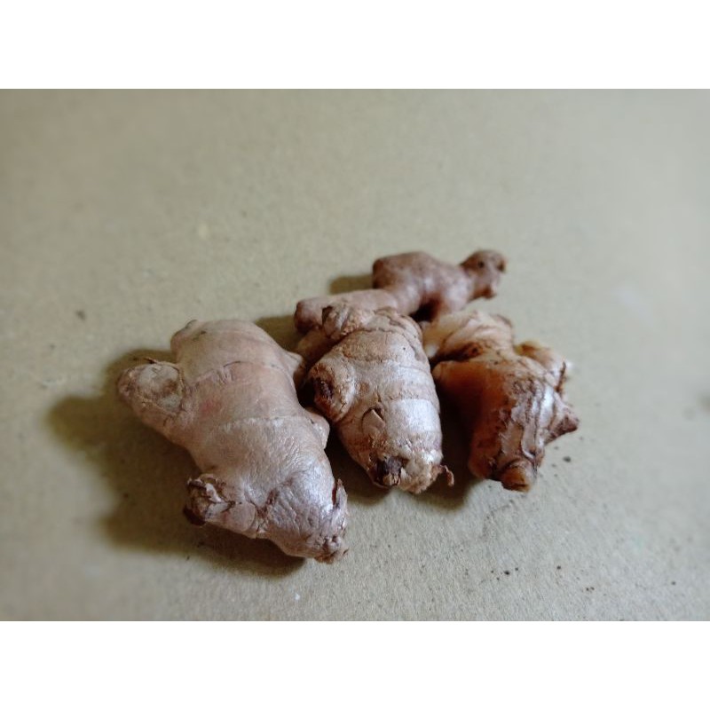 

250gr kencur