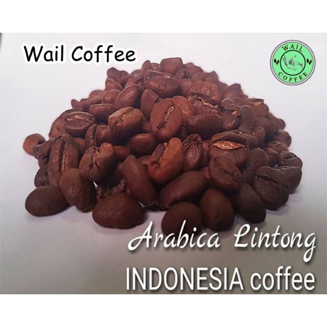 

Kopi Arabica Lintong