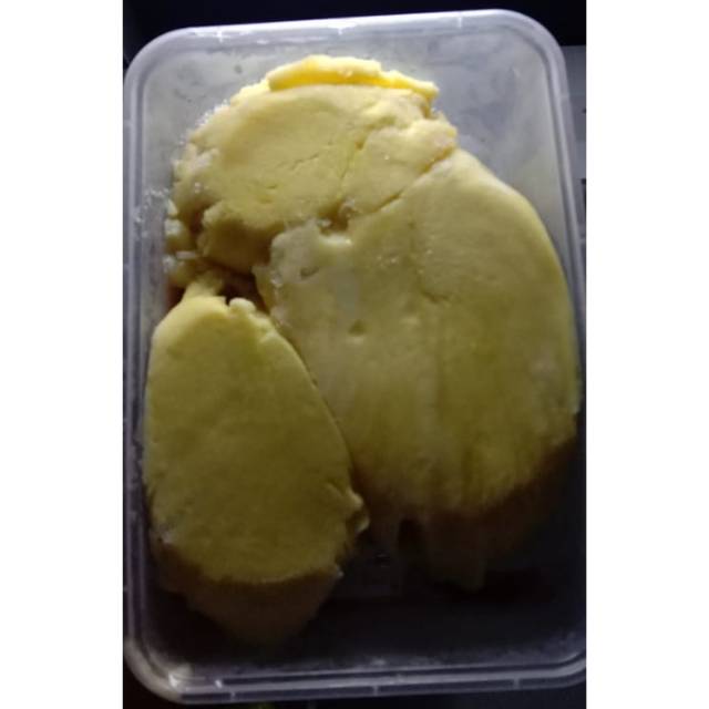 

Durian Montong Palu di Jombang