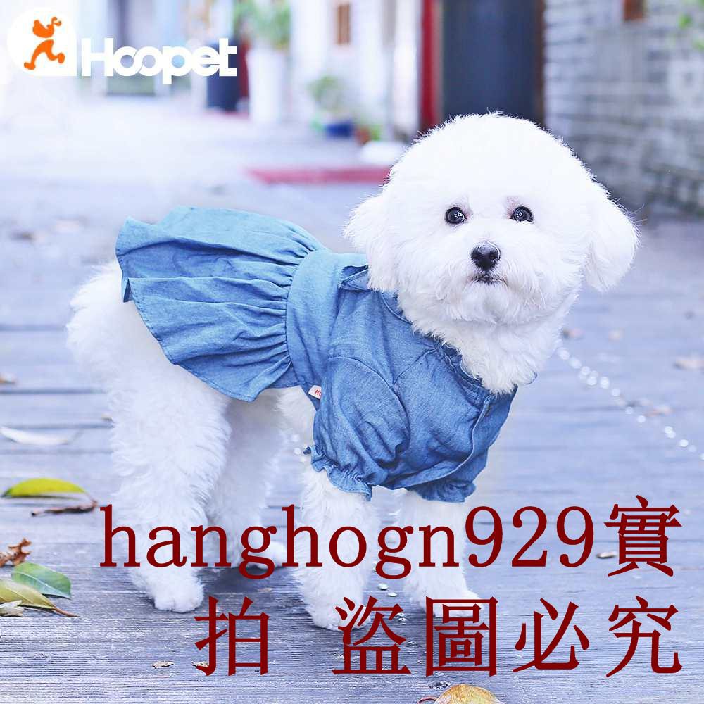 47+ Anjing bichon coklat ideas in 2021 