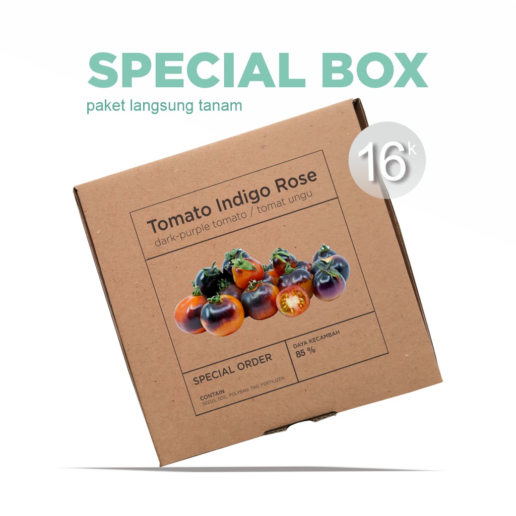 Paket Langsung Tanam - Gardening Kit - SPECIAL BOX - Benih Tomat Ungu / Tomato Indigo Rose Seeds